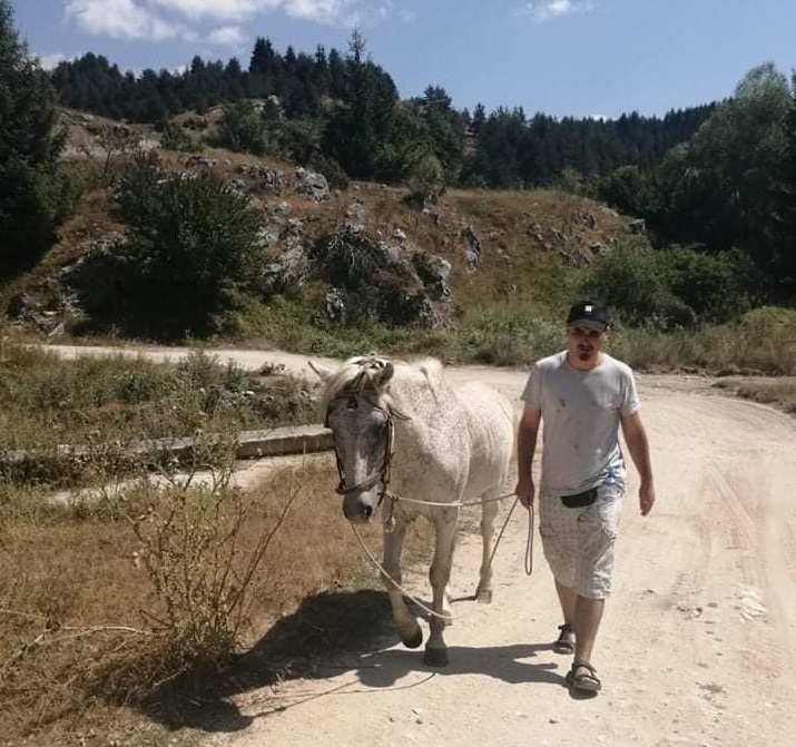 a man walking a horse